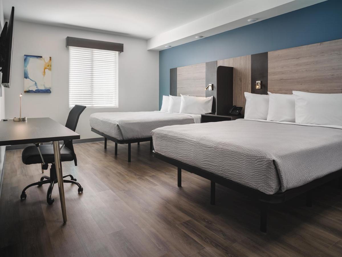 Stayapt Suites San Antonio-Randolph Live Oak Exteriér fotografie